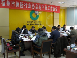 宿州市保险行业协会召开财险工作会议---暨财险专业委员会换届会议