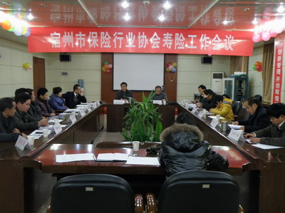 宿州市保险行业协会寿险工作会议
